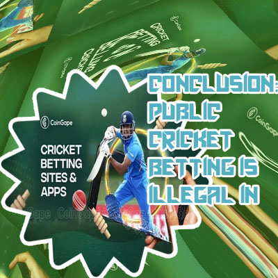 All cricket betting app